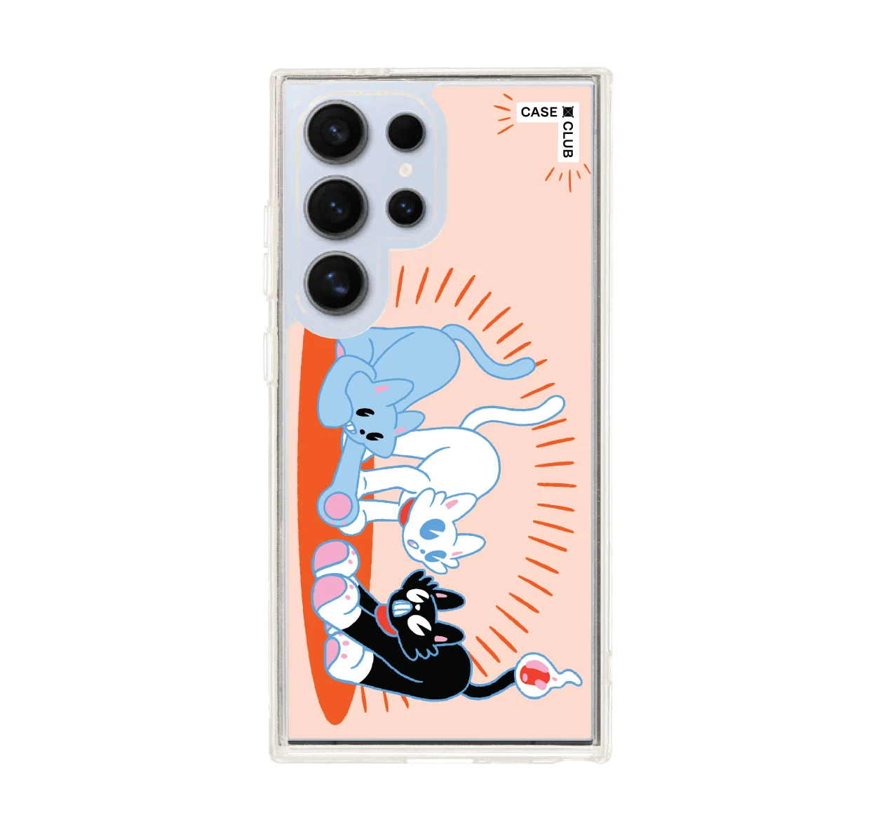 พลังแมวมารวมตัว